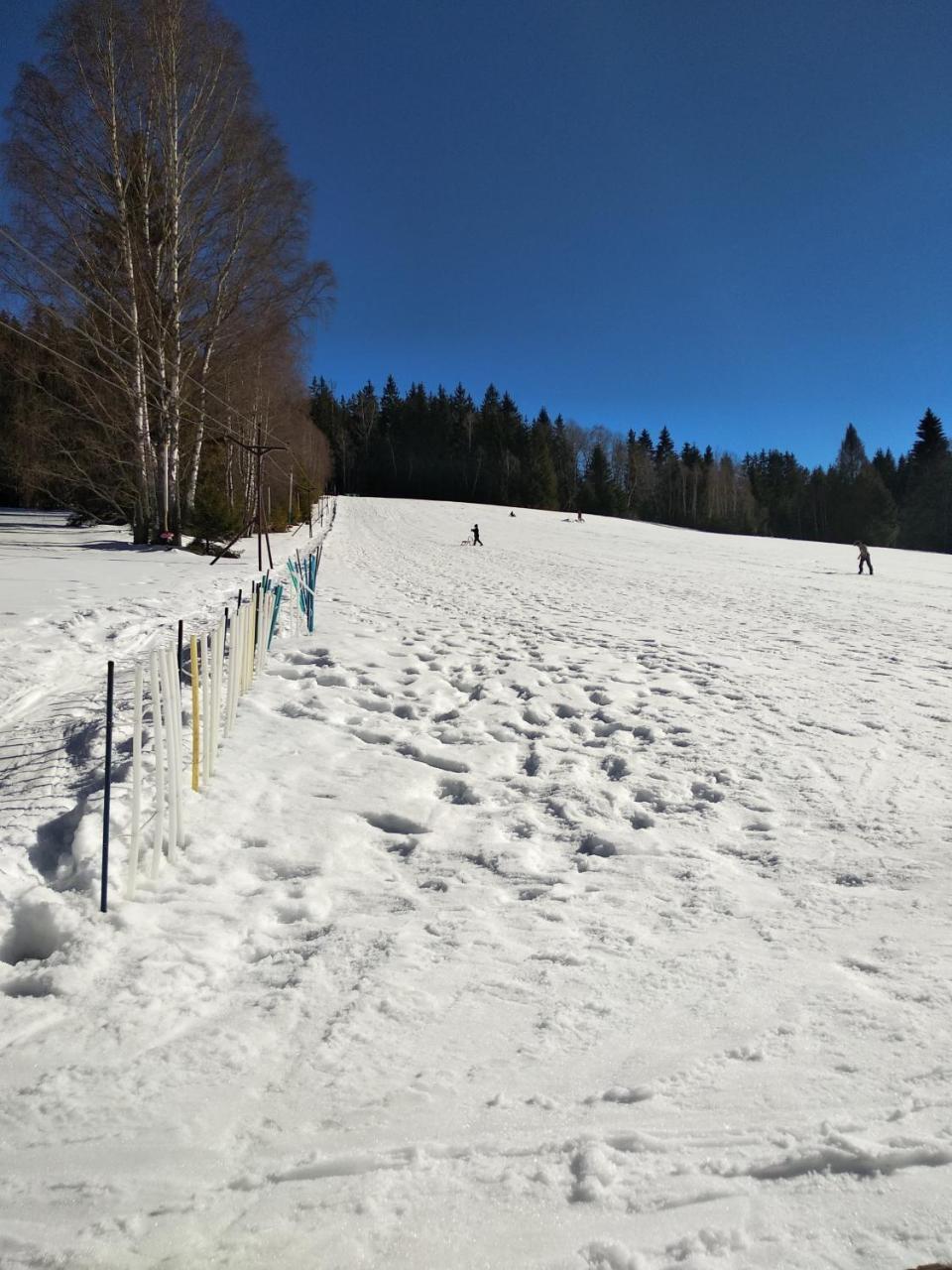 Na Losenici Nicov (Prachatice) Exterior foto