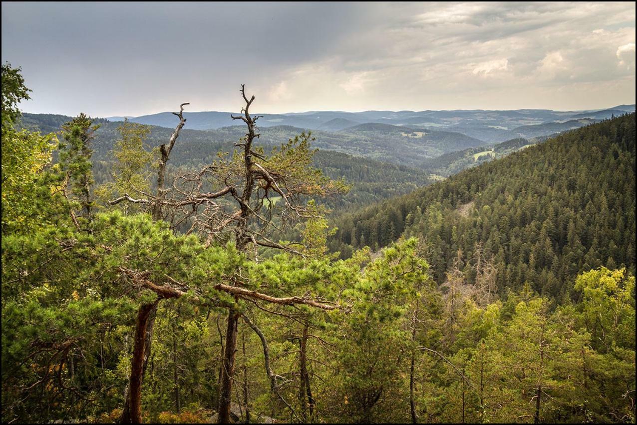 Na Losenici Nicov (Prachatice) Exterior foto