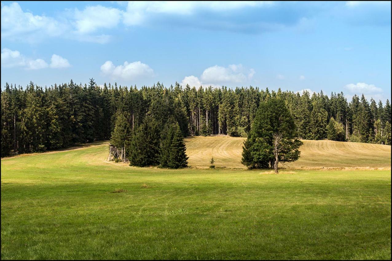 Na Losenici Nicov (Prachatice) Exterior foto
